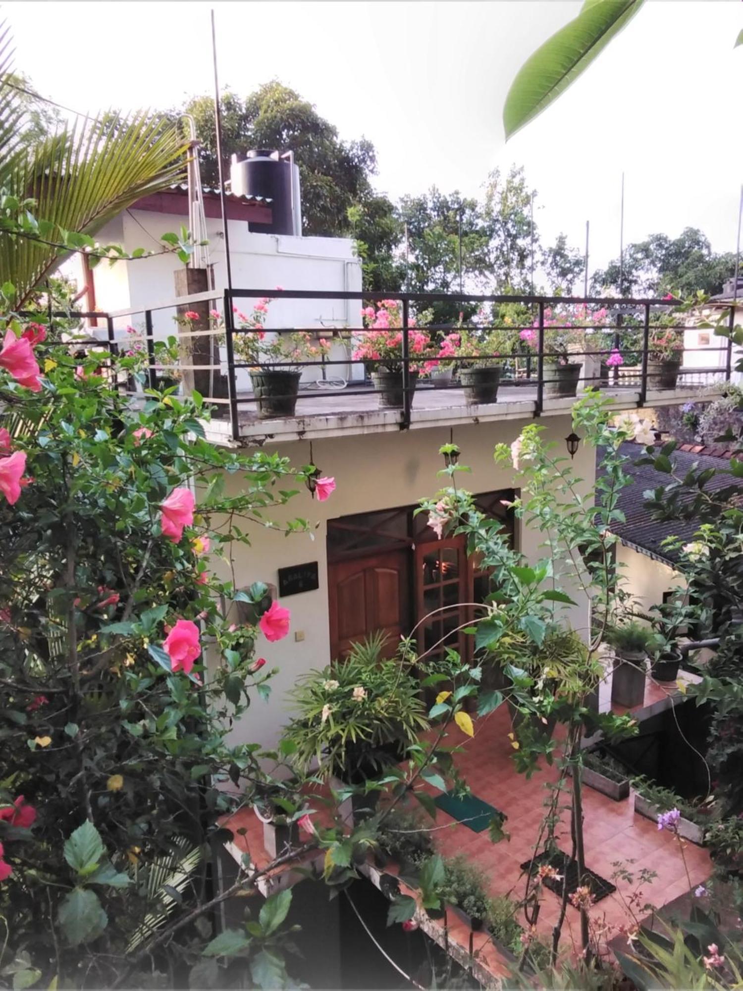 Araliya Home Stay Κάντι Εξωτερικό φωτογραφία