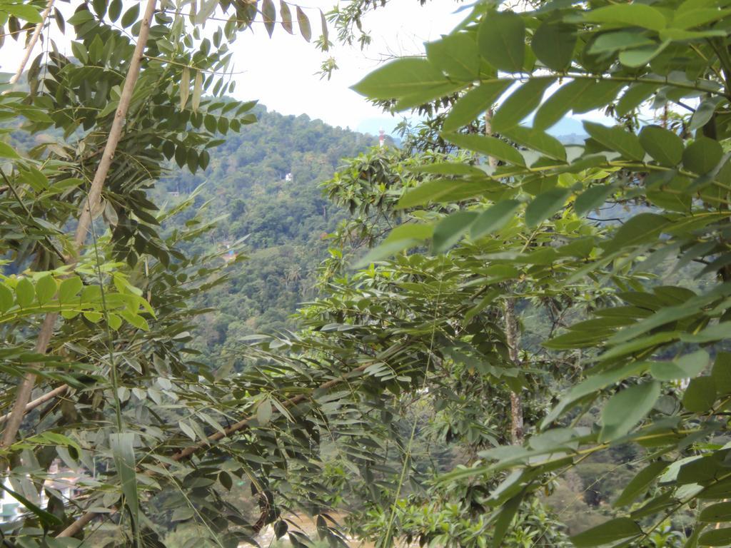 Araliya Home Stay Κάντι Εξωτερικό φωτογραφία