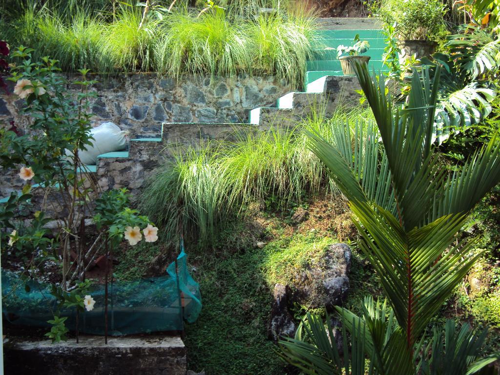 Araliya Home Stay Κάντι Εξωτερικό φωτογραφία