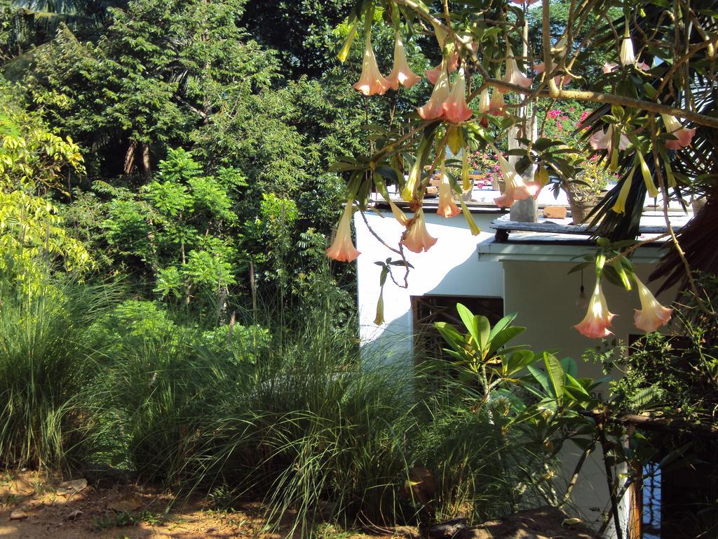 Araliya Home Stay Κάντι Εξωτερικό φωτογραφία