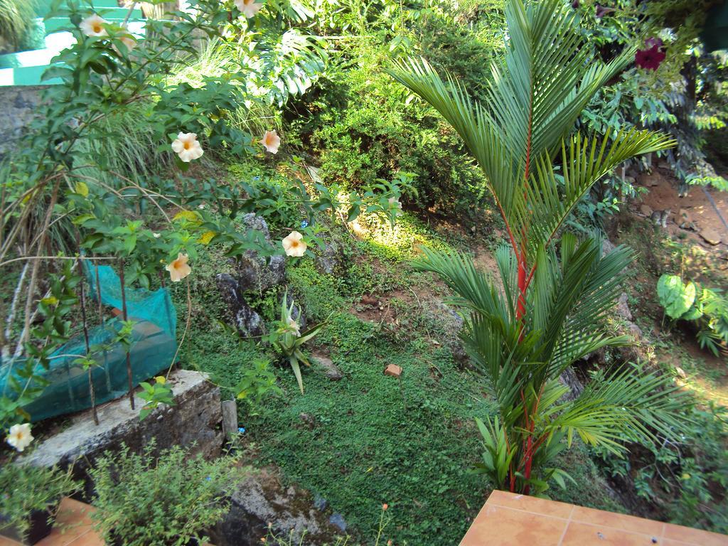 Araliya Home Stay Κάντι Εξωτερικό φωτογραφία