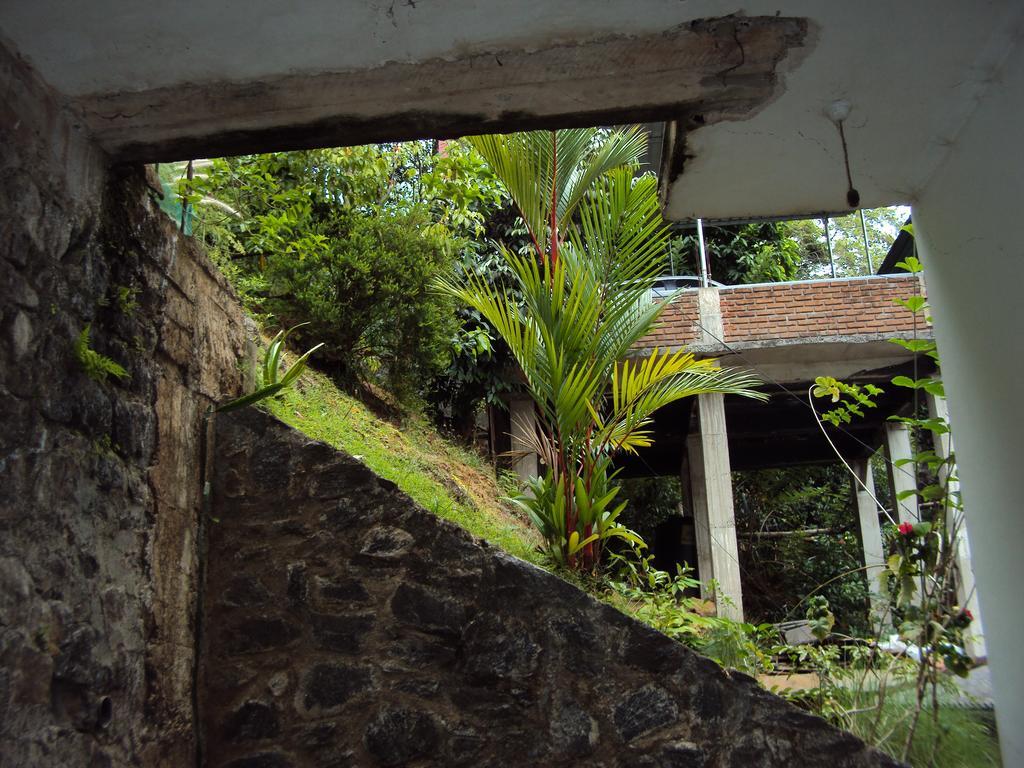 Araliya Home Stay Κάντι Εξωτερικό φωτογραφία